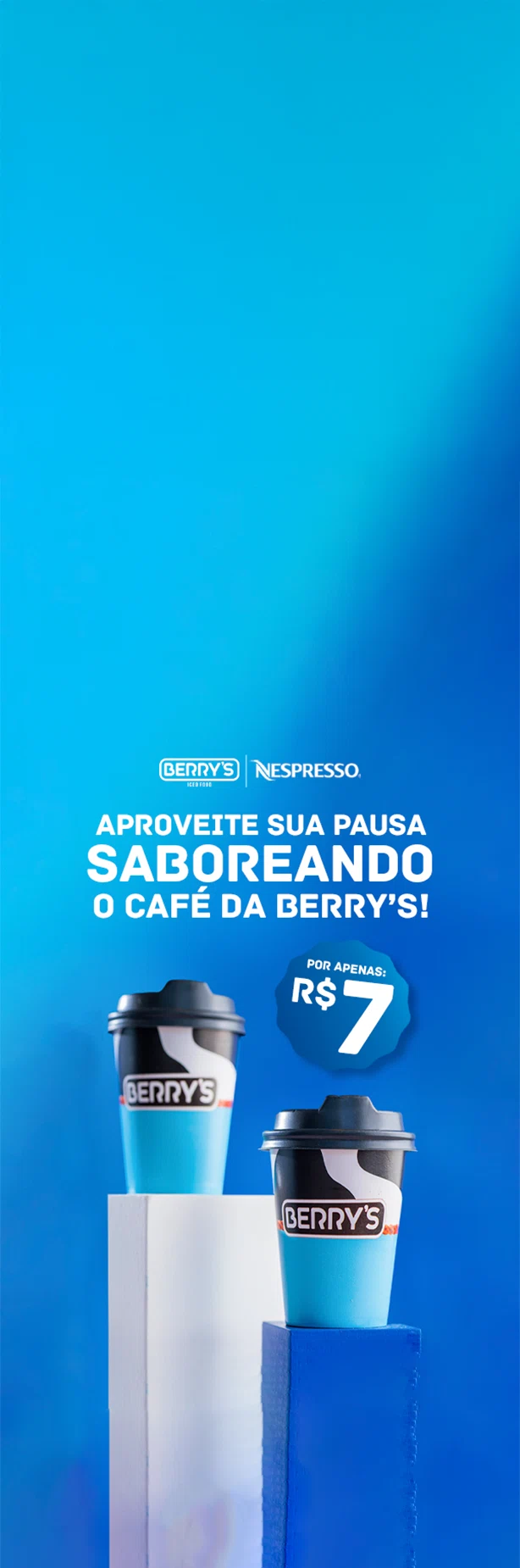 rs1mb